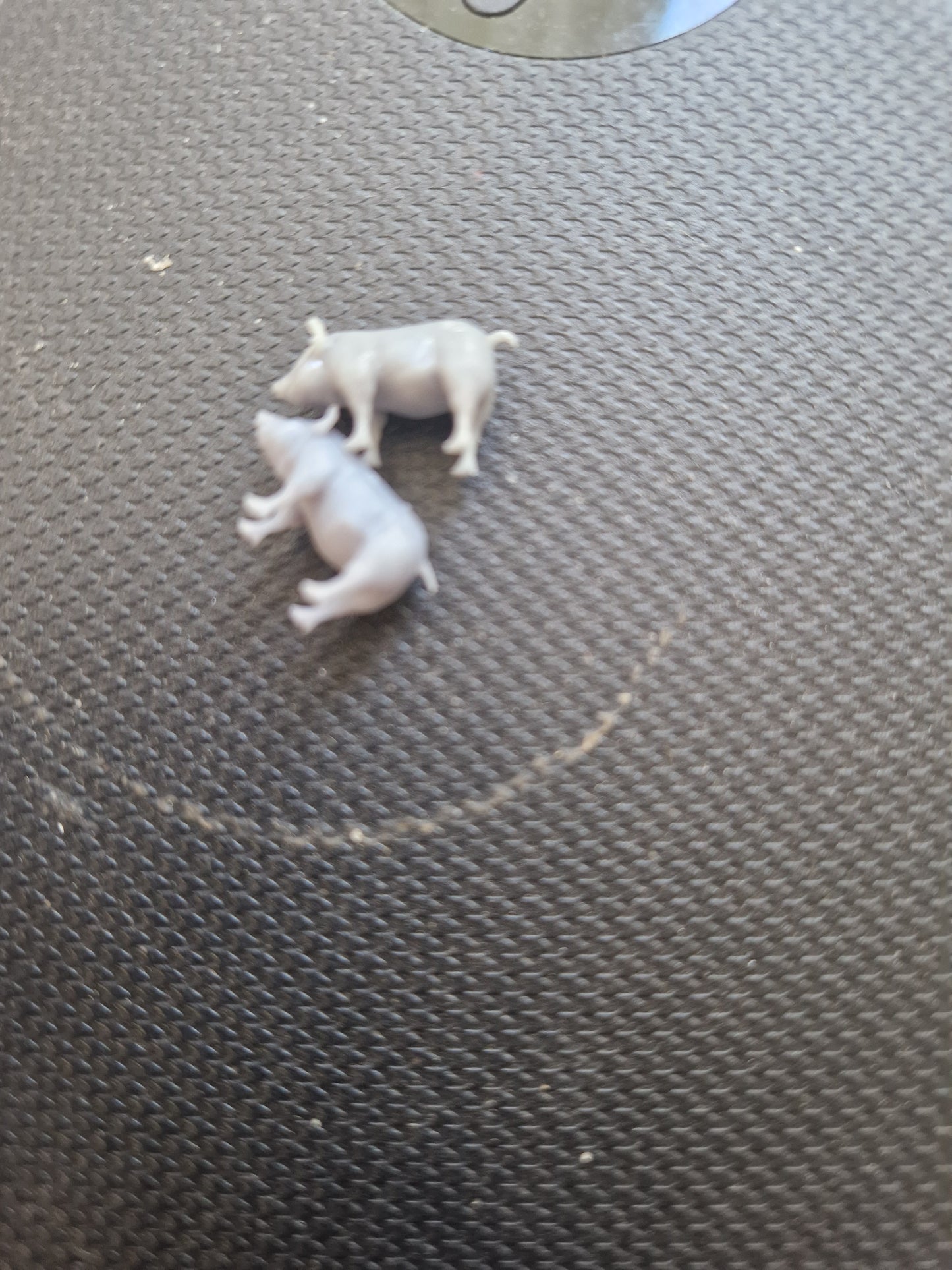 OO Gauge Pigs