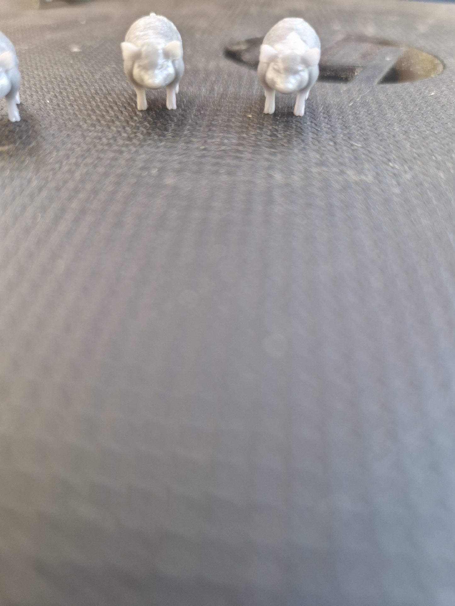 OO Gauge Pigs